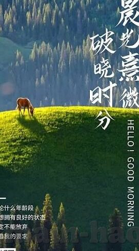 成人色性视频-成人色情视频，网络文化的灰色地带与影响