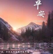 大象回家视频在线观看-探索自然界的奇迹，大象回家之旅的温馨瞬间
