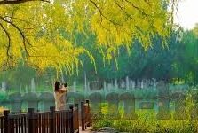 麻豆传媒女艺人-「聚焦娱乐界，麻豆传媒旗下女艺人的多元视角」