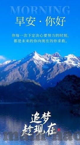 糖心vlog安卓app官网-探寻生活乐趣，糖心Vlog安卓App官网的魅力之旅